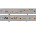 Symmetry-Aware Robot Design with Structured Subgroups